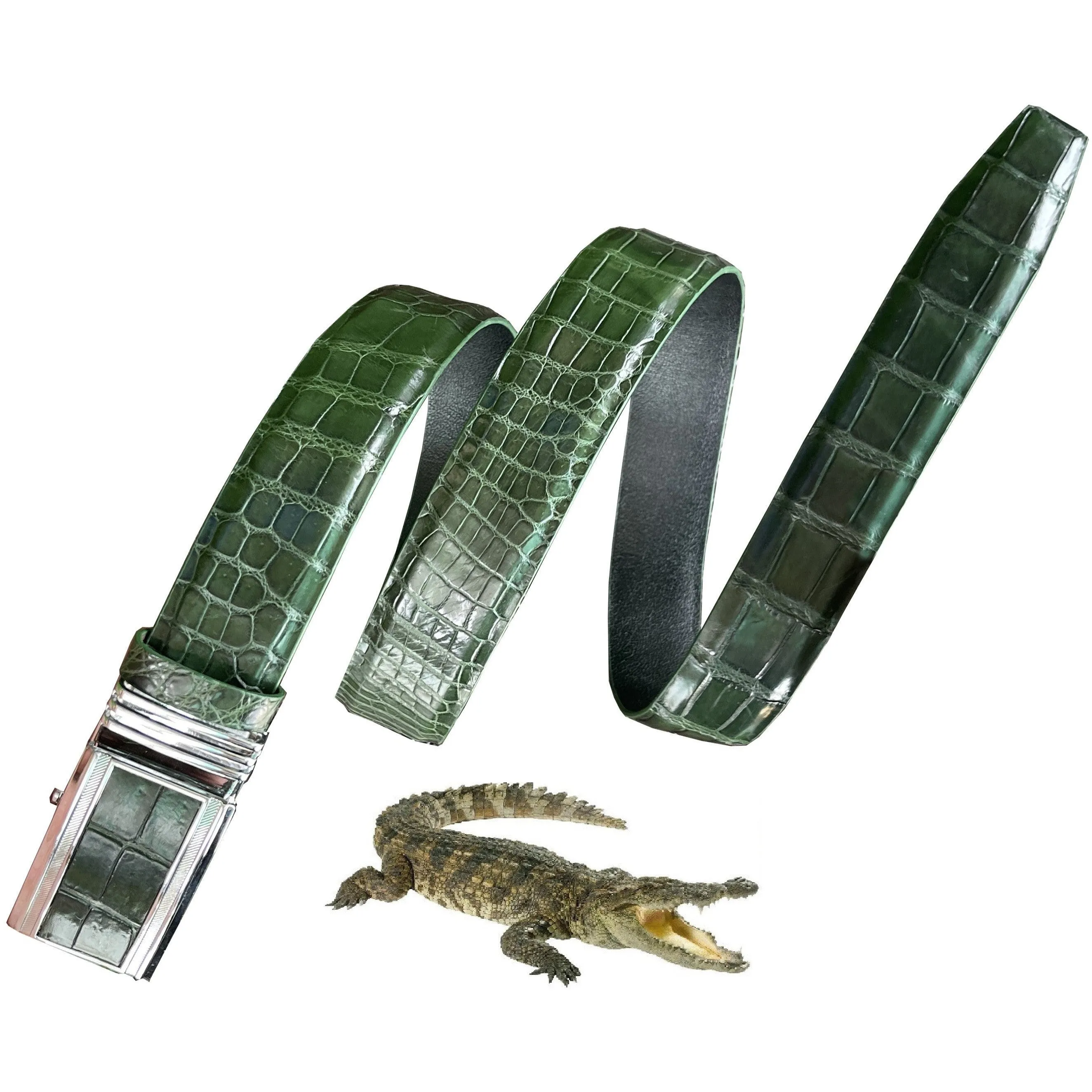 Handcrafted Green Alligator Belt Men's - Crocodile Skin Belly Belt 1.5" - Automactic Buckle - BE-GRE-08