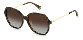 POLAROID-PLD 6177/G/S-86-5718-SUNGLASSES