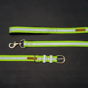 Reflective Green Nylon Belt Collar and Leash with Padded Handle