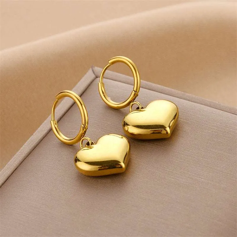 Women's Various Styles Titanium Steel Earrings